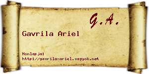 Gavrila Ariel névjegykártya